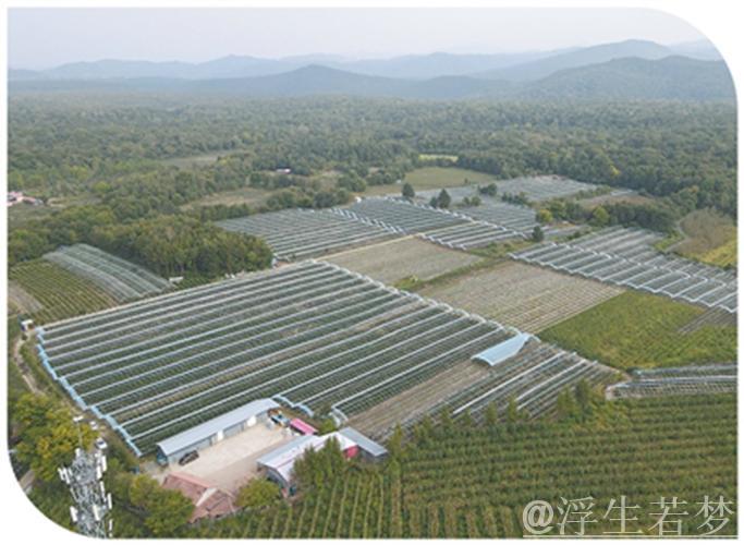 “三夏”里的新质生产力